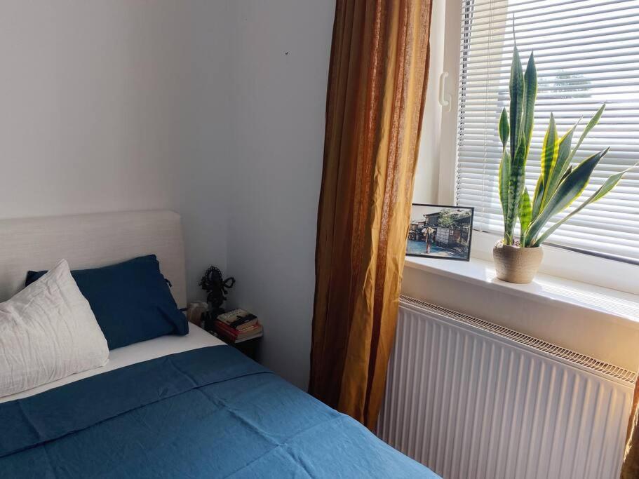 Cosy Apartment Tivoli Center Free Park Ljubljana Buitenkant foto